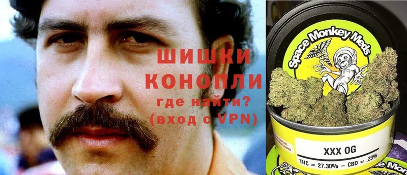 сколько стоит  Касли  Конопля OG Kush 